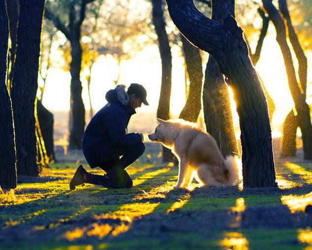 A walk in the park at golden hour