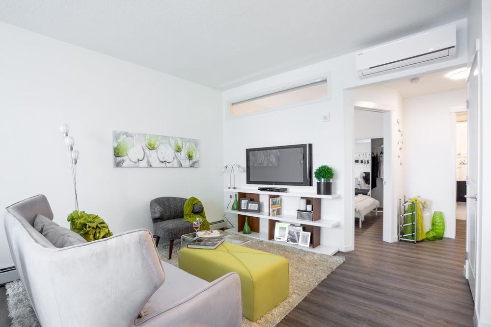 Living room styled with a sofa, armchair and media wall