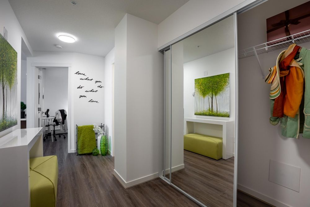 Entry closet and hallway